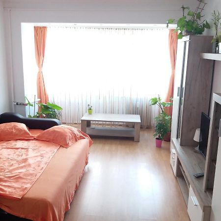 شقة كونستانتا  في Apartament Anca المظهر الخارجي الصورة