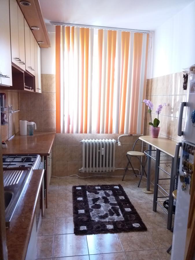 شقة كونستانتا  في Apartament Anca المظهر الخارجي الصورة