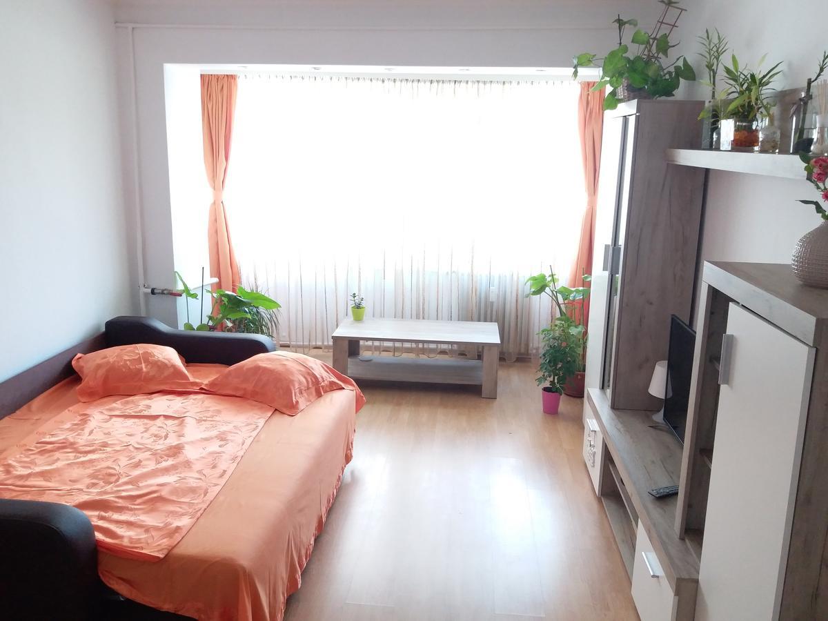 شقة كونستانتا  في Apartament Anca المظهر الخارجي الصورة